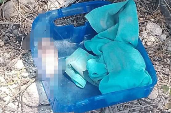 Autoridades investigan abandono de feto en Miahuatlán tras hallazgo de recipiente sospechoso