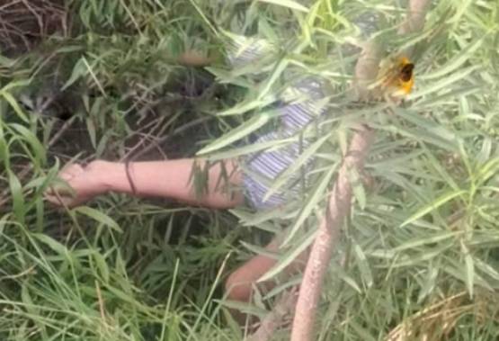 Atropellan a mujer en Periférico Ecológico; cae a barranca en Amozoc y pierde la vida