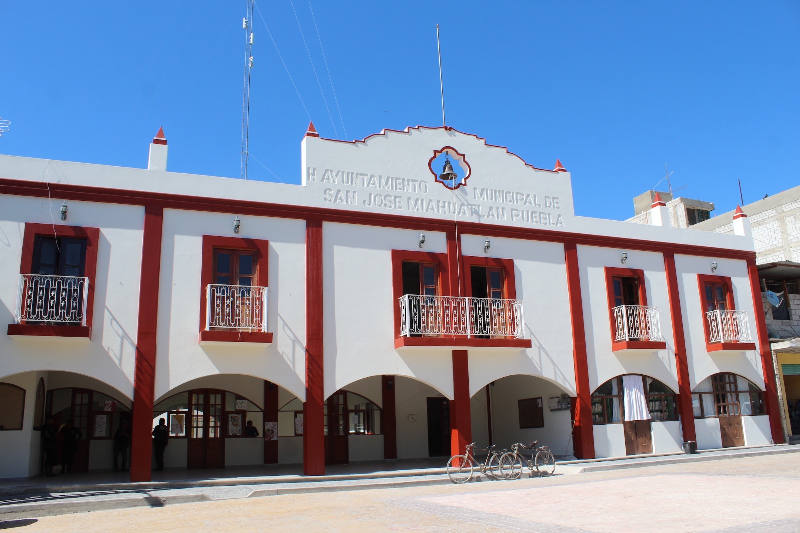 Ataque a ganado enciende alerta en San José Miahuatlán