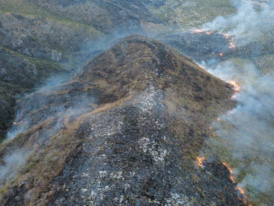 Incendio afecta 70 hectáreas de bosque en Tulcingo de Valle 