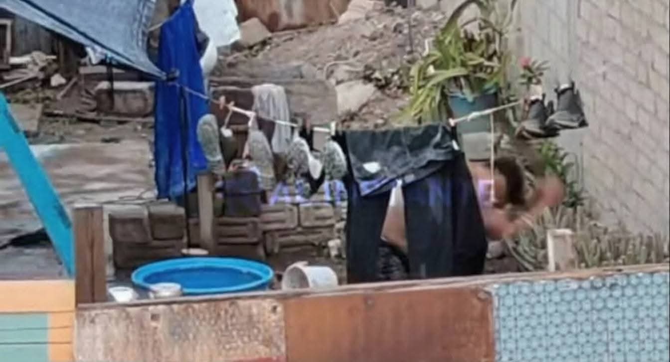 Presunto agresor de perro en Miahuatlán permanece en libertad