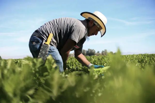 Prevén caída de población rural en México a 13% hacia 2040