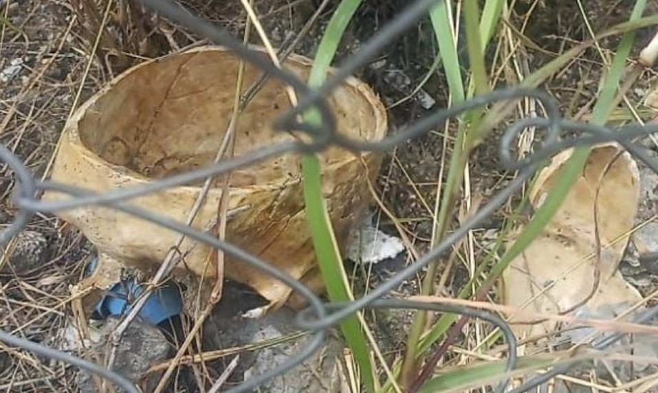 Localizan un cráneo humano en Chietla 