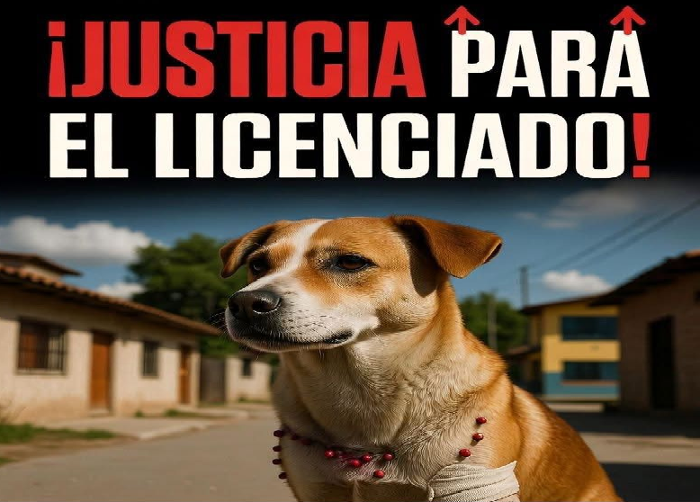 Justicia para El Licenciado; lastiman a perro comunitario en Atlixco