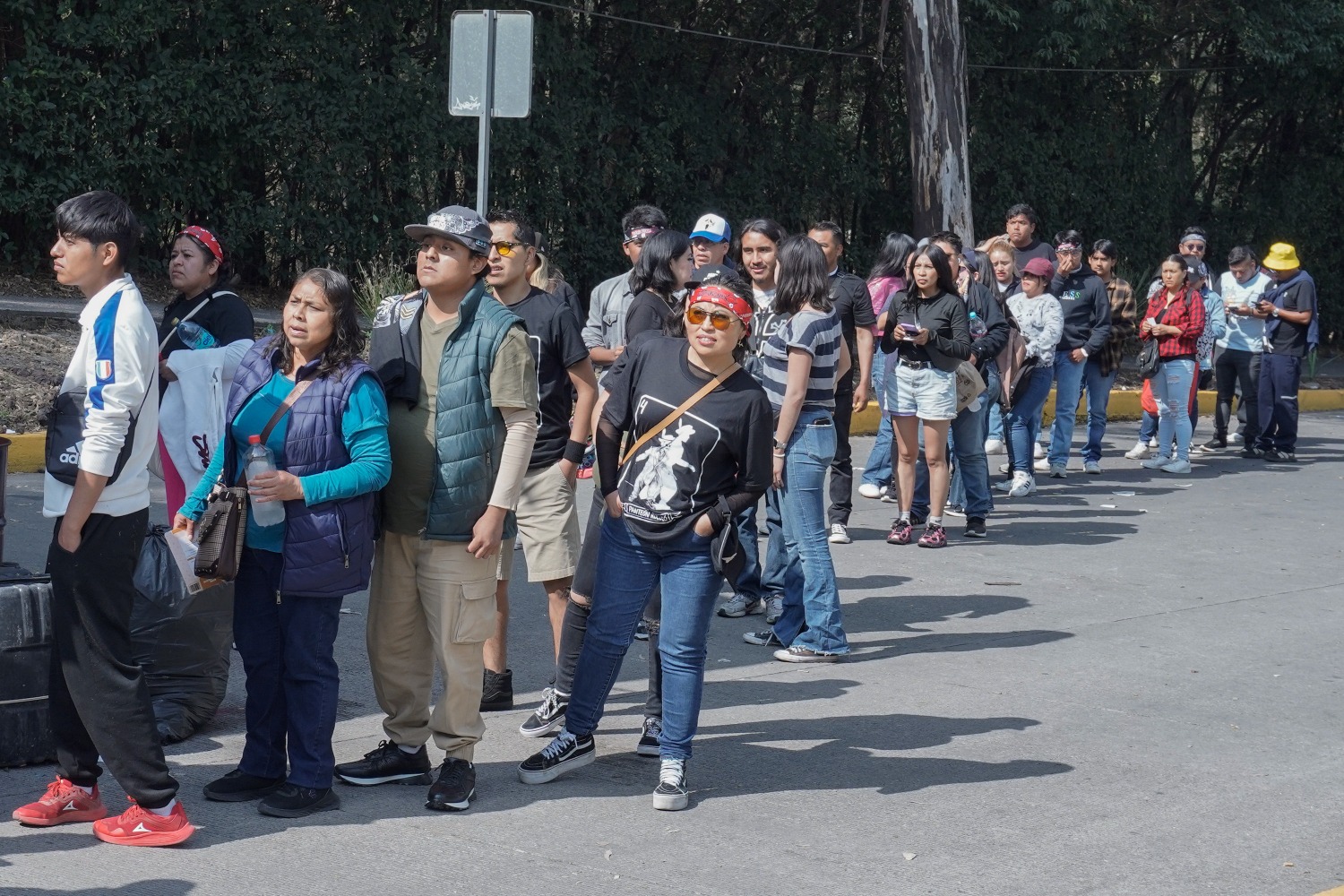 VIDEO Fanáticos de Panteón Rococó amanecen para ser los primeros en la fila