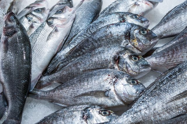 Alertan que 38% del pescado en México no es lo que se vende