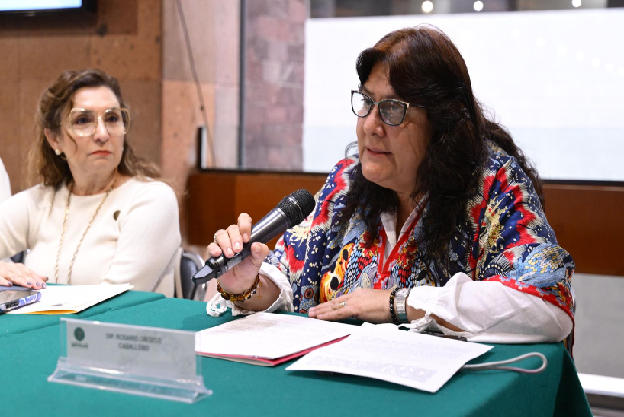 Avanza en Cámara de Diputados garantía de vivienda adecuada para mujeres víctimas de violencia