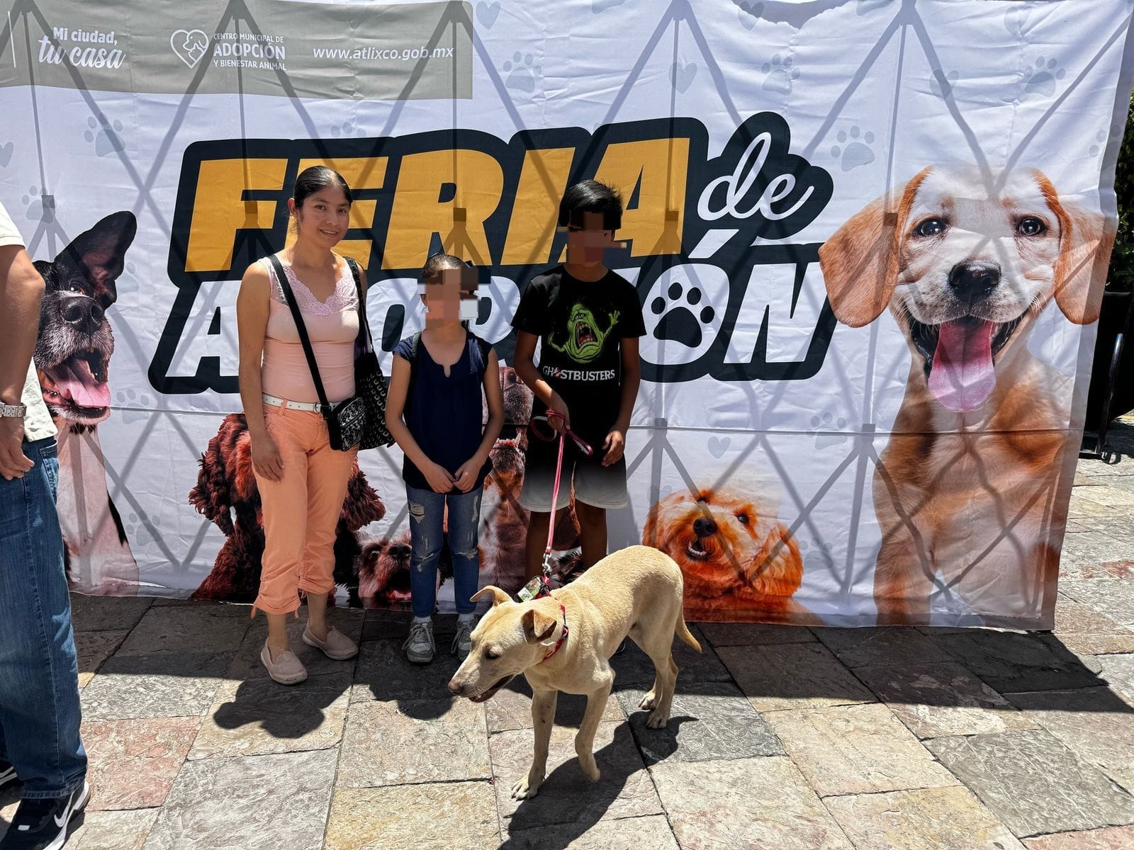 Un amor peludo: Ariadna Ayala invita a la feria de adopción en Atlixco 