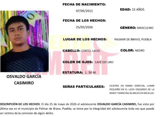 Activan Alerta Amber para localizar a Osvaldo de 15 años en Palmar de Bravo