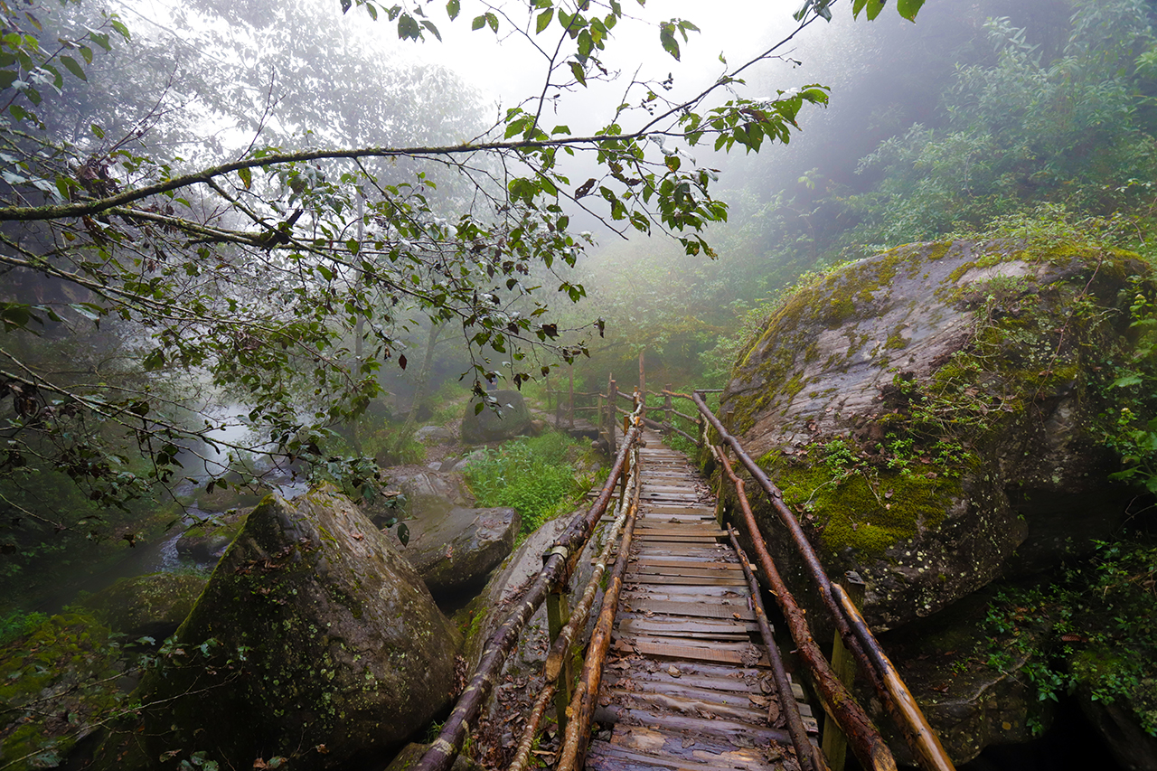 Entre cascadas y neblina se encuentra Honey, un paraíso natural 