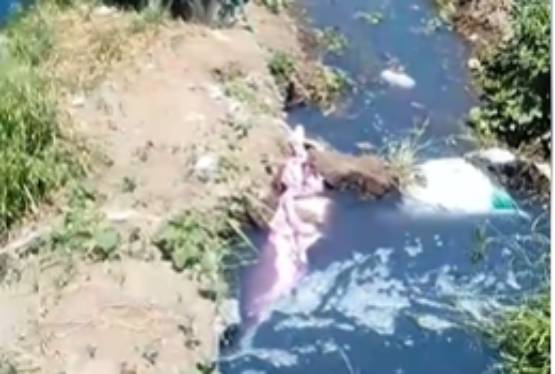 Vecinos llaman a evitar riego con aguas negras en Texmelucan