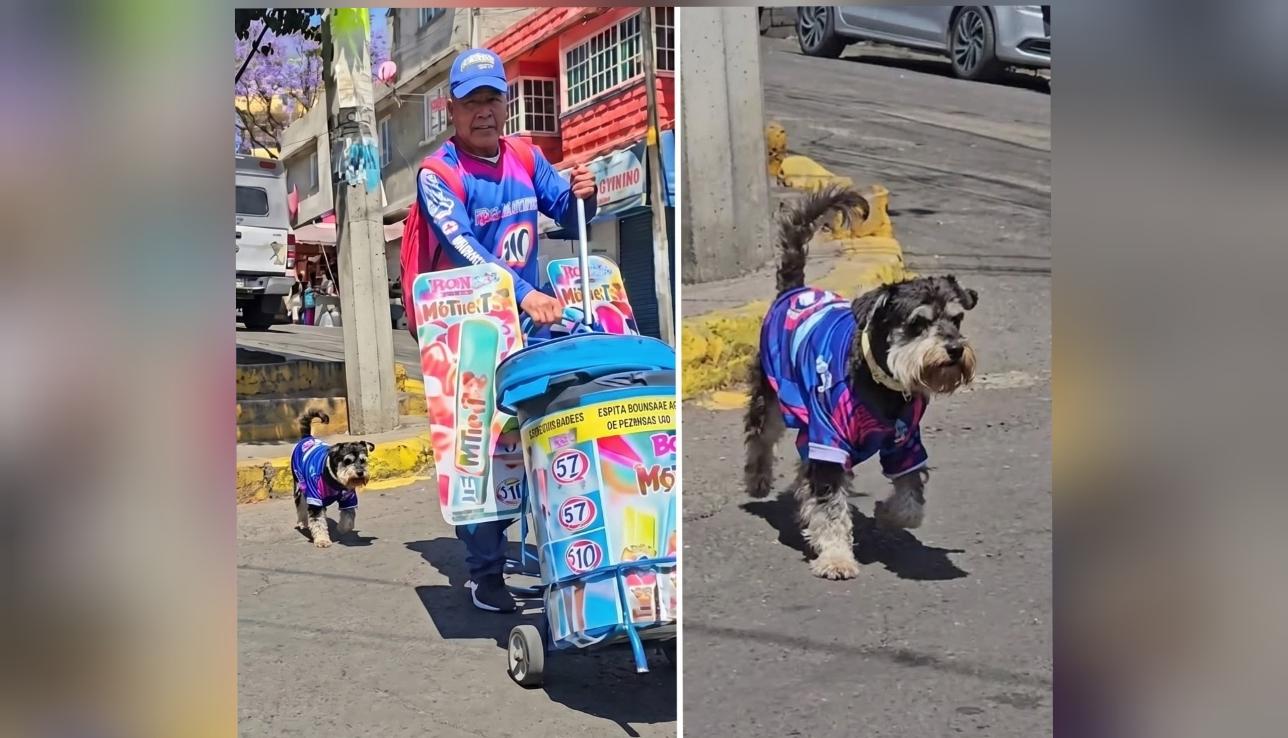 Perrito vendedor de Bon Ice se hace viral en redes sociales 