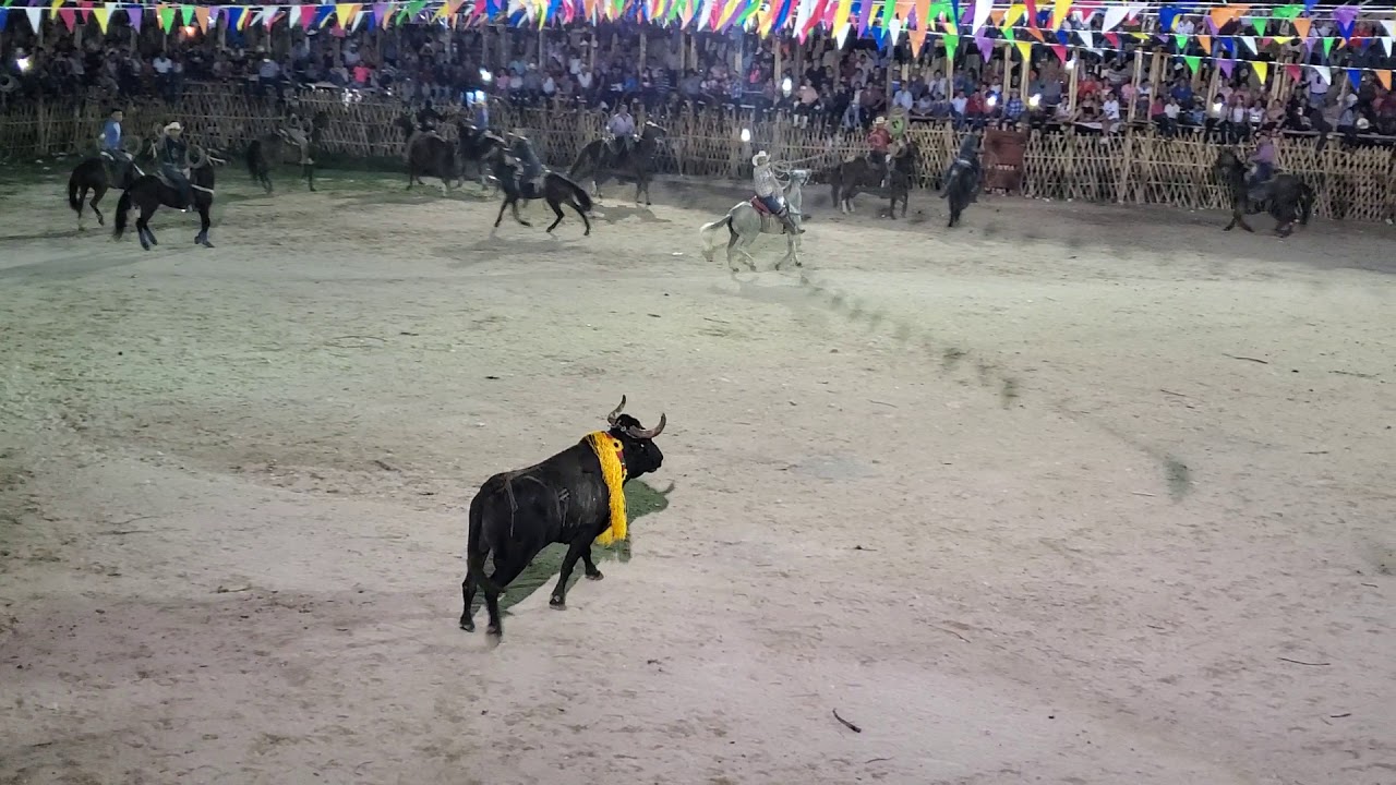 Un adolescente resultó gravemente herido tras ser embestido por un toro en Yucatán