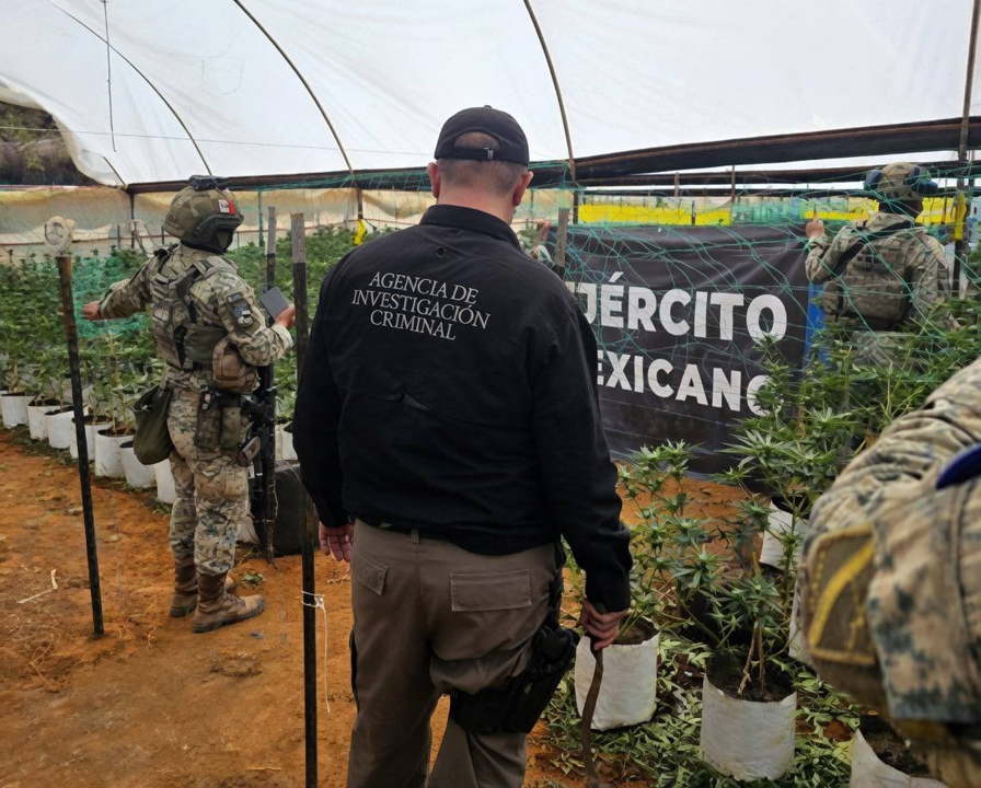 Acciones relevantes del Gabinete de Seguridad del Gobierno de México
