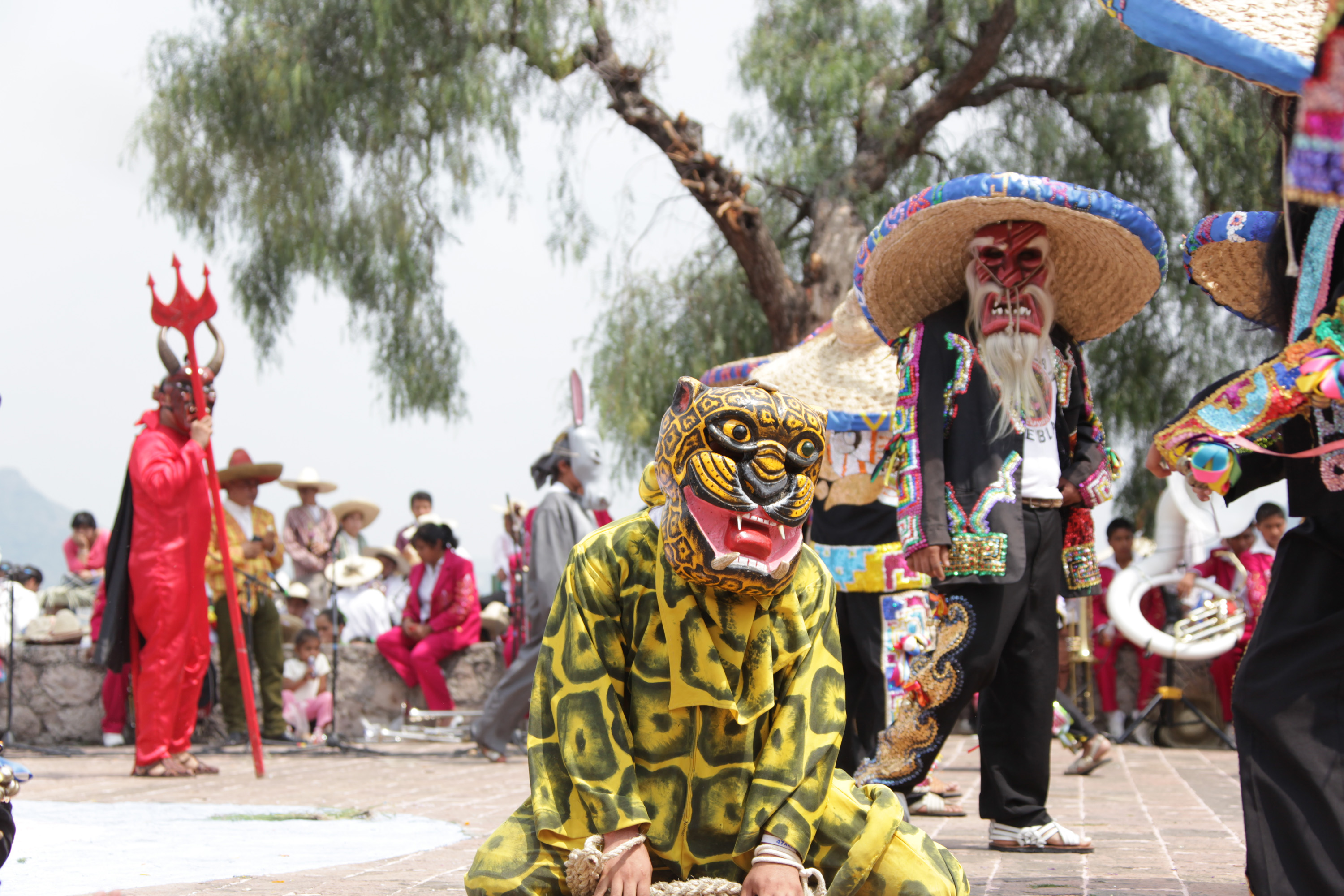 Declaran Patrimonio Cultural Intangible de Puebla a la Danza de los Tecuanes de Acatlán 