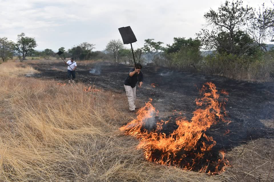 Sofocan la tarde de este miércoles incendio de dimensiones importantes en Huaquechula
