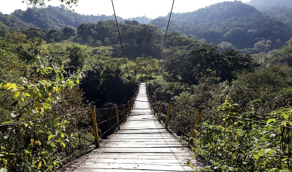 Lánzate a la aventura y atraviesa el Puente Colgante Miguel Hidalgo