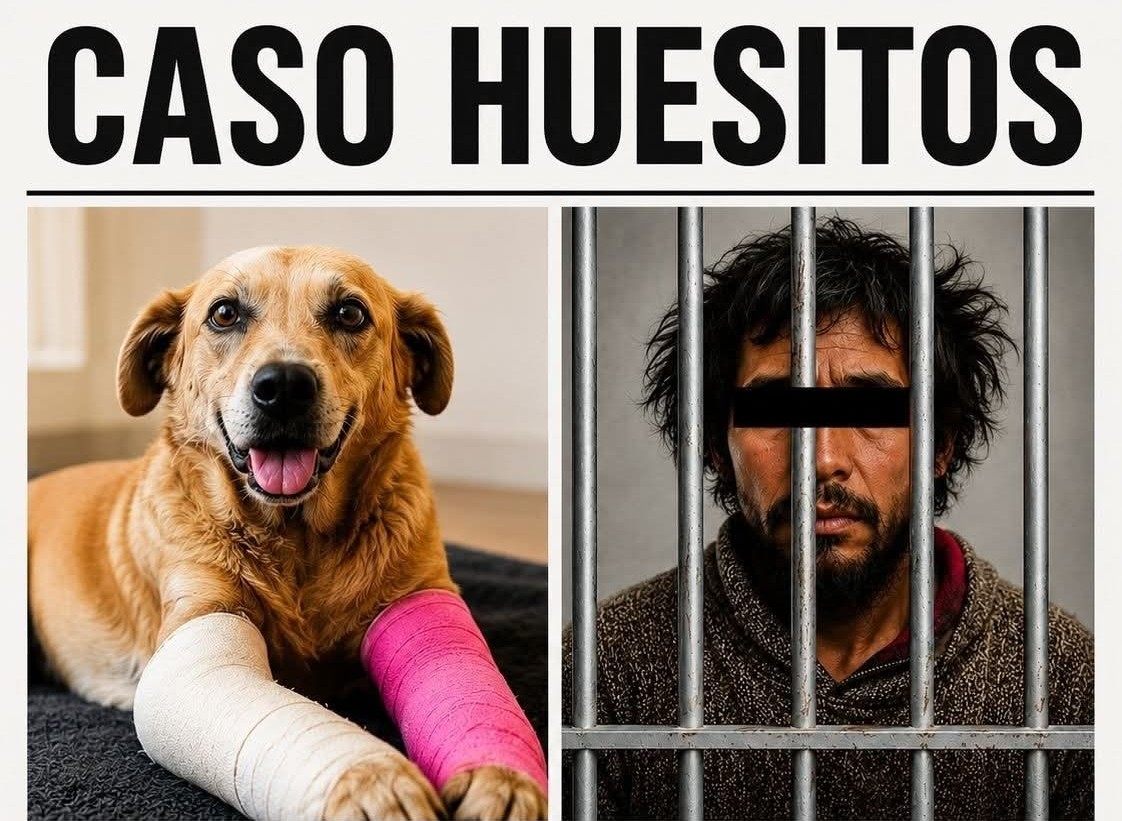 Declaran culpable a El Colamochas por caso de crueldad animal contra Huesitos   