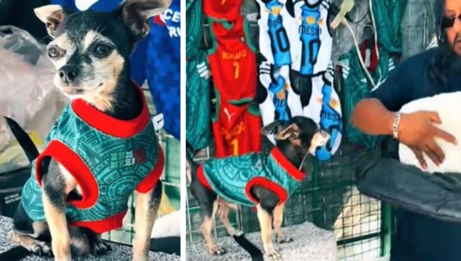 Perrito se roba corazones en redes por ayudar a su dueño a vender playeras de la selección mexicana
