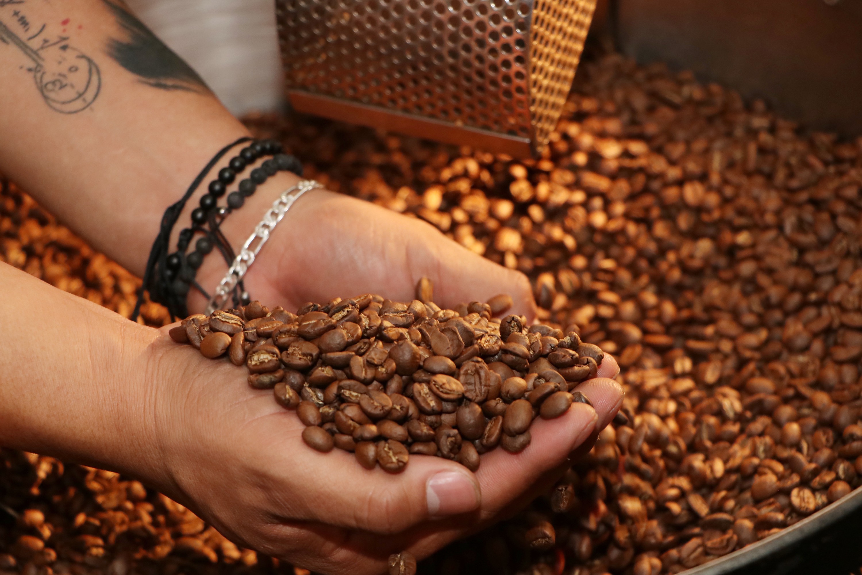 Sector cafetalero en Puebla genera derrama de 3 mil millones anuales: instalarán planta federal 