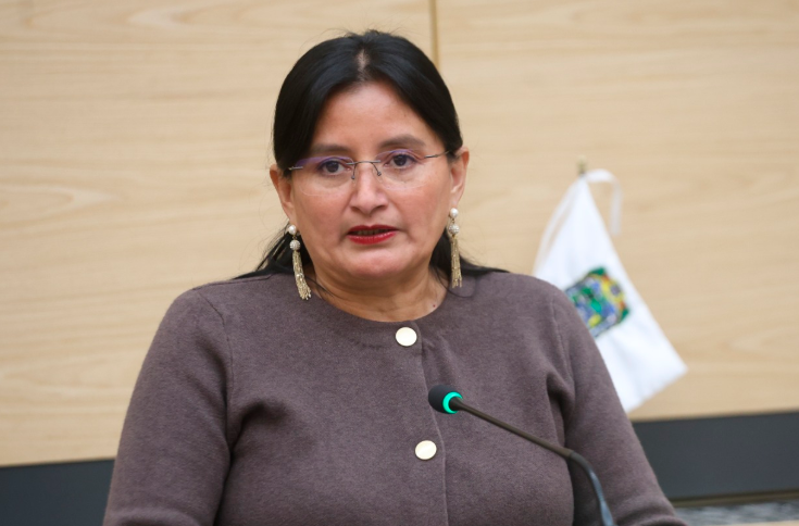 Propone diputada incluir consulta previa en leyes y políticas sobre discapacidad