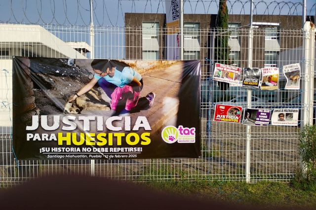 Se espera dicten sentencia en contra del Colamochas tras agresión en contra de Huesitos