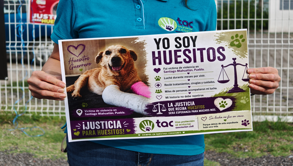 VIDEO Realizan audiencia en Puebla por el caso de Huesitos por crueldad animal
