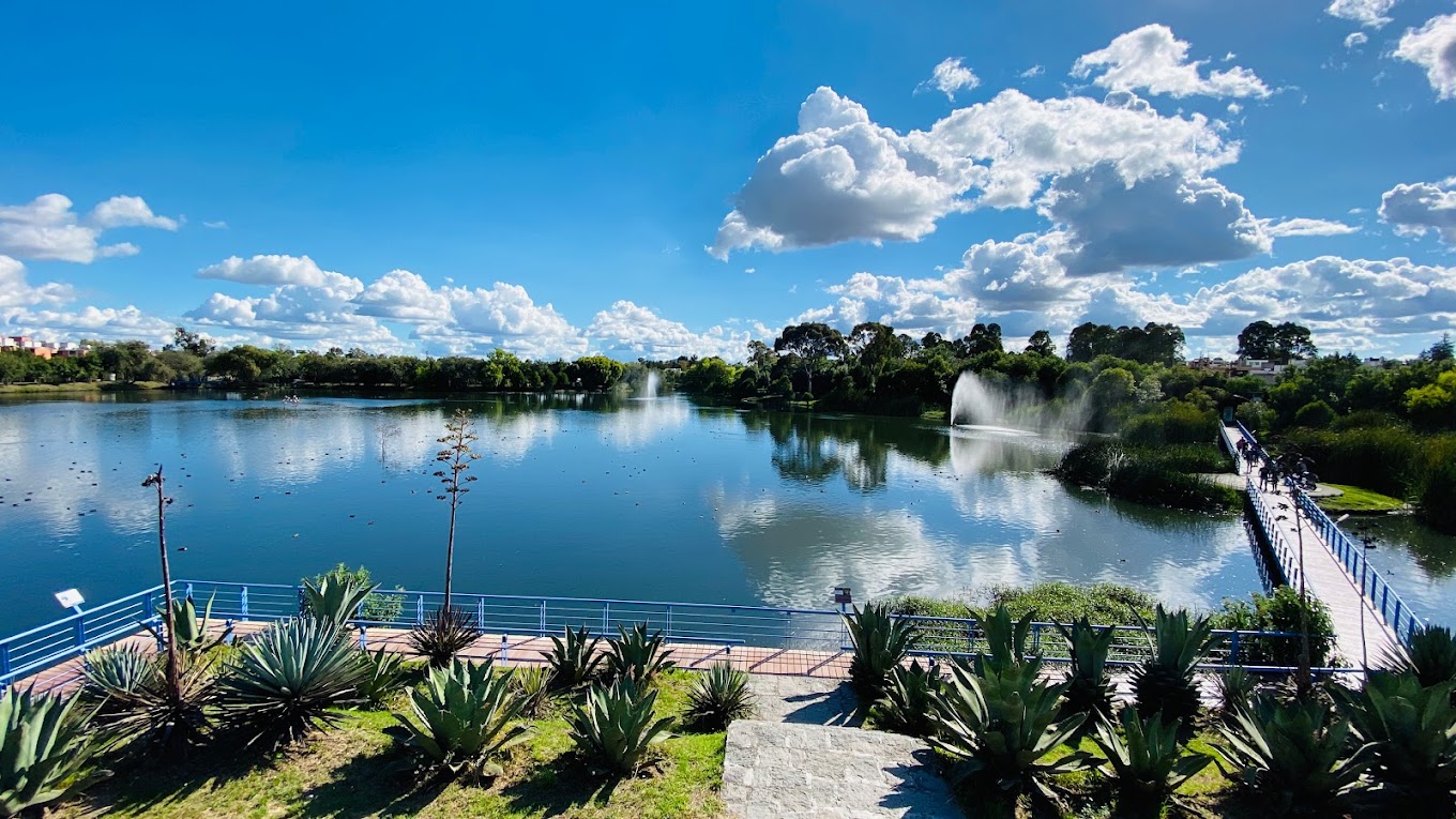 Para relajarte y estar en contacto con la naturaleza visita la Laguna de Chapulco