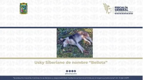 Crueldad 