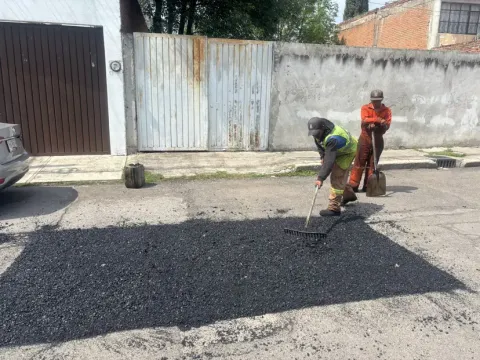 Baches 