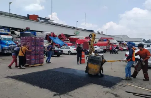 baches 