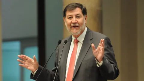 gerardo-fernandez-senado