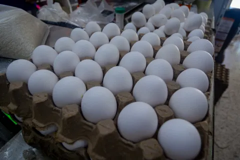 img-20240521-wa0155