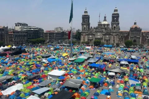 plantón 