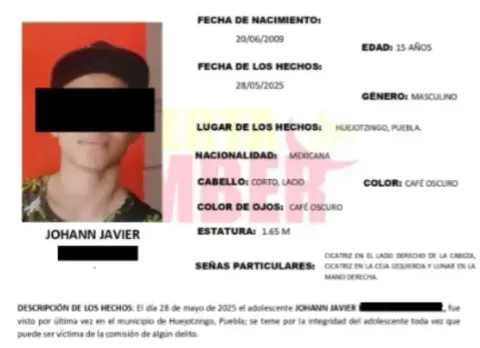 Bolitin de busqueda