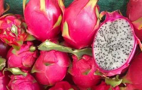 Pitaya 