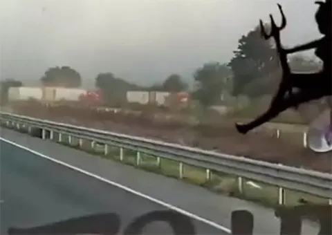 Carretera 