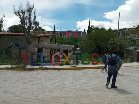 Teloxtoc