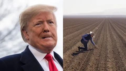 trump_aceptara_migrantes