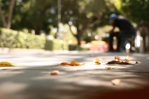 La llegada del otoño marca el inicio de la temporada en donde las temperaturas cálidas propias del verano comienzan a disminuir.