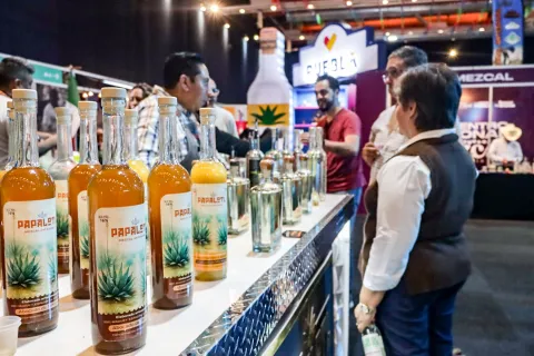 Últimas horas del Encuentro Nacional de Mezcal 2025.