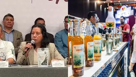 Titular de Desarrollo Rural hablando del Encuentro Nacional del Mezcal 2025