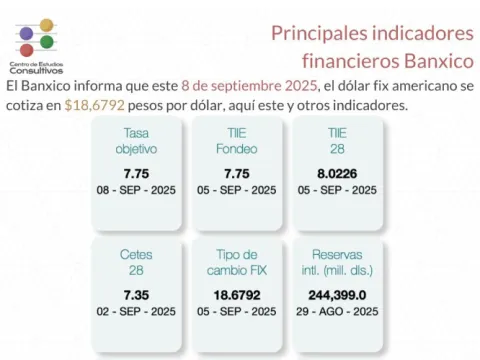 Indicadores