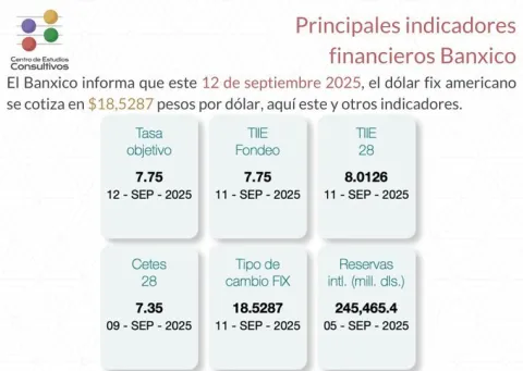Indicadores