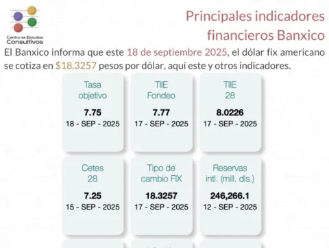 Indicadores