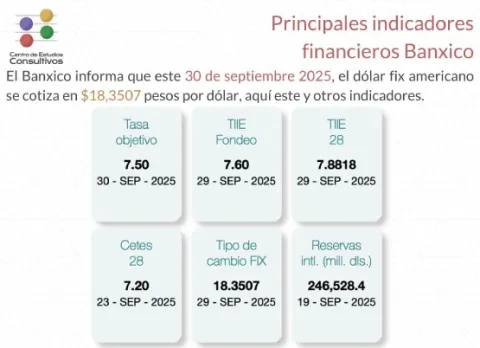 Indicadores