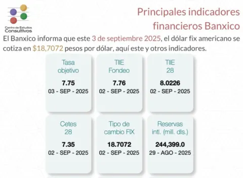 Indicadores financieros