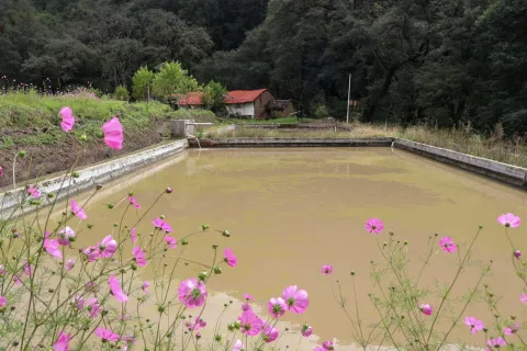 En San Tadeo Huiloapan, municipio de Panotla, en Tlaxcala, se ubican las Cabañas Saposochil.