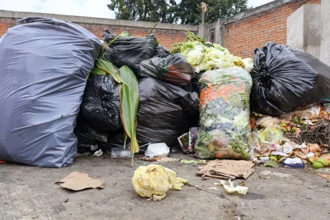 29 de septiembre: Día Internacional de la Concientización sobre la Pérdida y el Desperdicio de Alimentos.