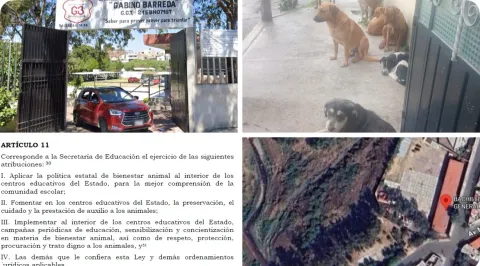 Patitas Enlodadas 